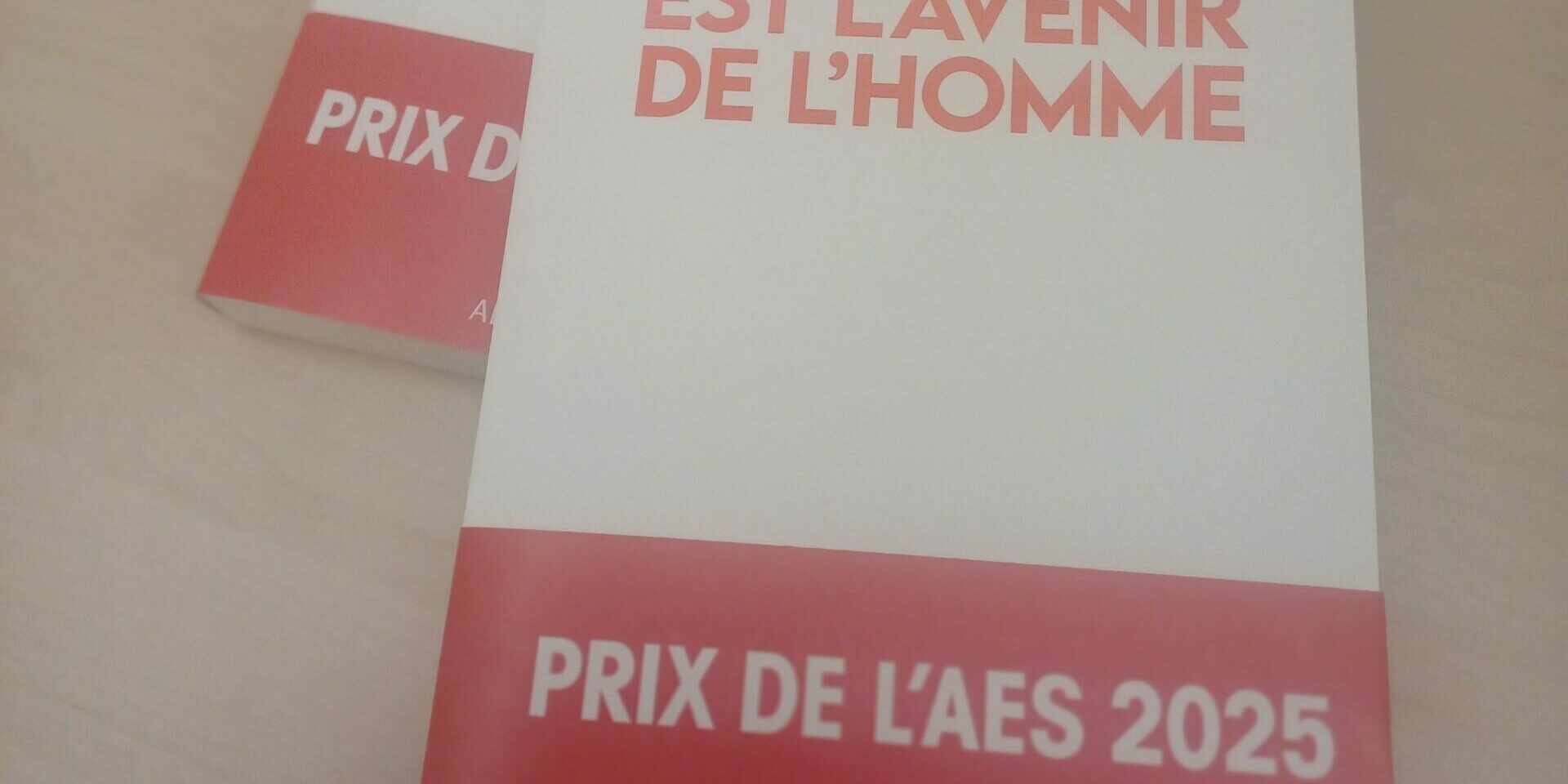 Ouvrage bande Prix AES 2025 Visuel du livre avec le titre "L'enfant est l'avenir de l'homme", le nom de l'auteur "Aziliz Le Corre" et le bandeau du Prix de l'AES ainsi que le nom de l'éditeur Albin Michel.